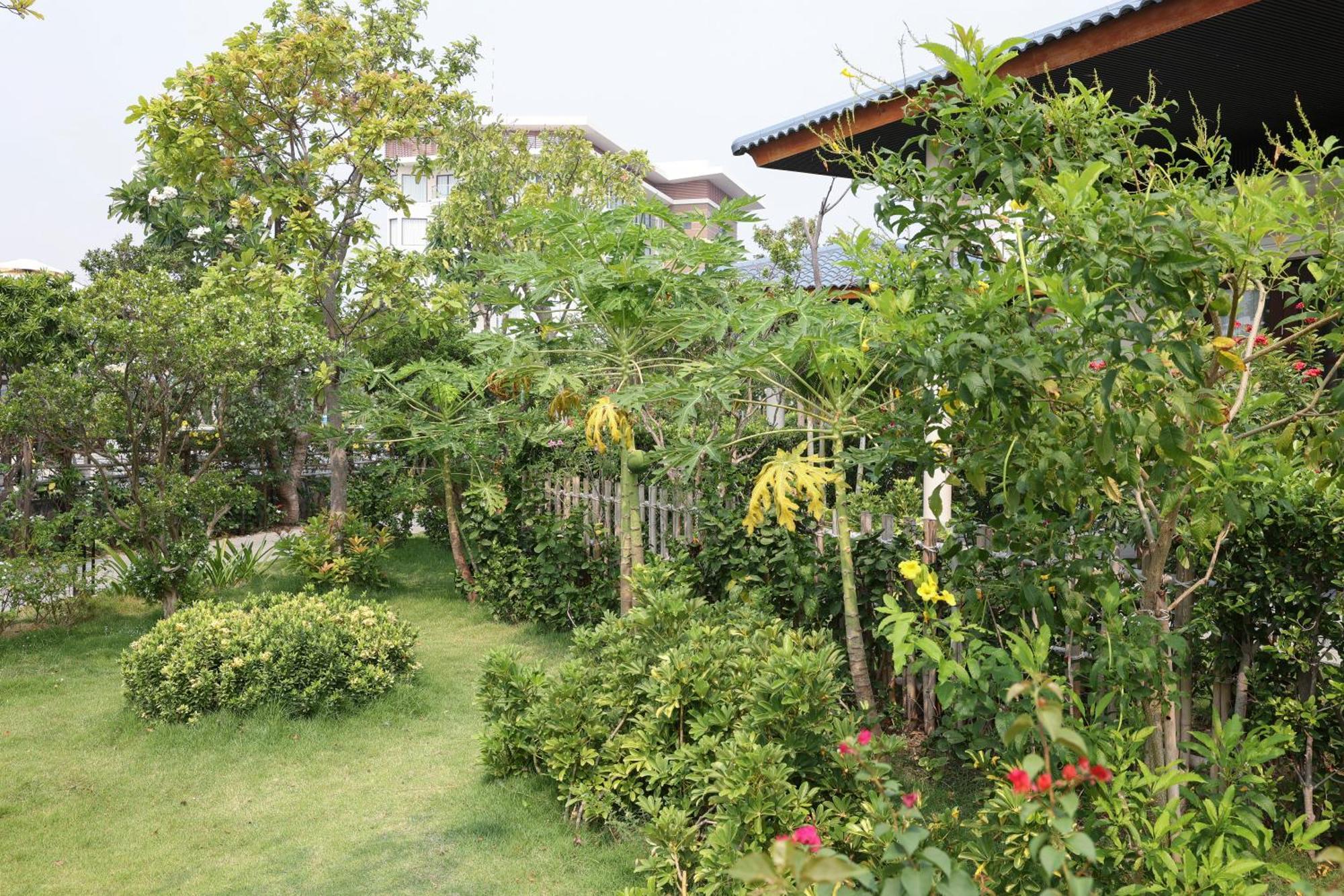 Hoan My Resort - Ninh Chu فان رانغ المظهر الخارجي الصورة
